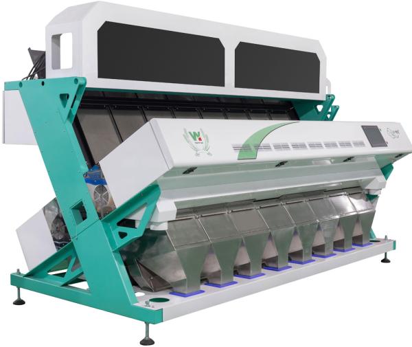 Quality Multifunction 8 Chutes Channels Ccd Color Sorter For Coffee Bean for sale