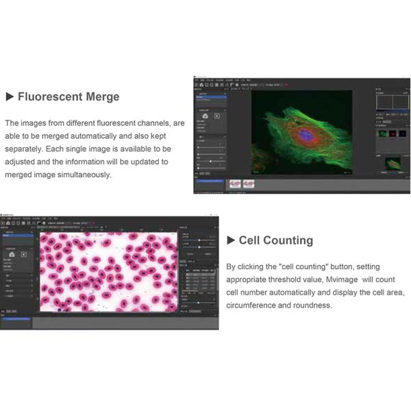 Opto Edu A14.0950 Research Level Inverted Biological Microscope Mortorized Condenser