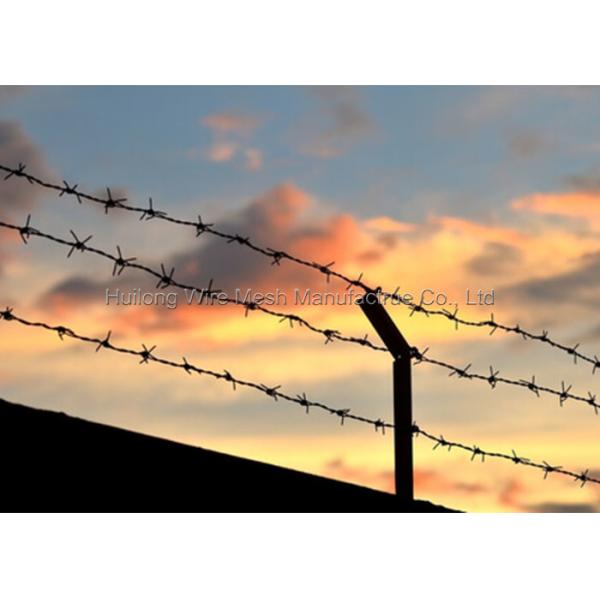 HUILONG Galvanized Razor Wire High security 200M length For Yard