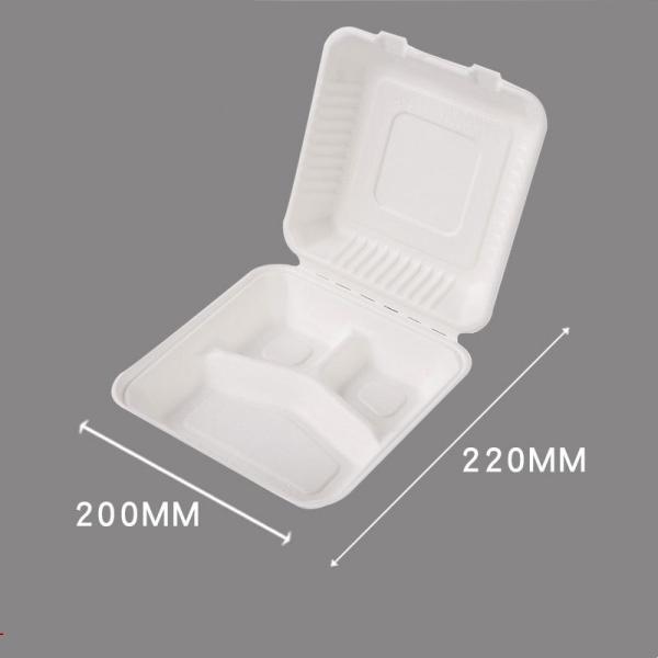 Quality 3 Compartment Sugarcane Bagasse Lunch Box Clamshell Containers For Camping Picnic for sale