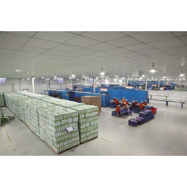 Fluff Pulp Sanitary Napkin Pads