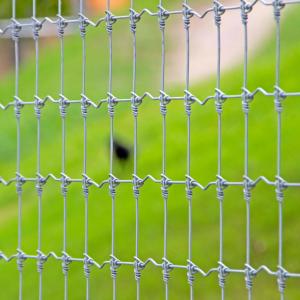 Buy cheap Hot Dip Galvanized Deer Fixed Knot Fence 4ft 5ft 6ft 7ft 8ft product