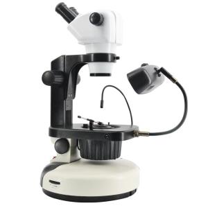 Buy cheap Wide Field Fluorescence Microscopy , 115mm Working Distance Microscope product