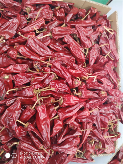 5000SHU Mild Dried Chilies Stemmed Grade A Dried Red Chile Pods