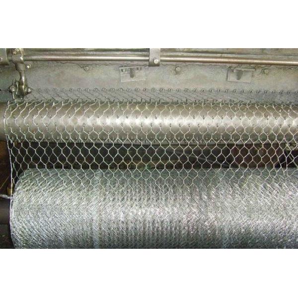 Hexagonal Small Gauge Chicken Wire , Small Hole Chicken Wire BWG19-25