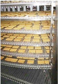 Sprocket Driven Food Processing Conveyor Mesh Belt Stainless Steel Wire Conveyor For Bakery Snack Production Line