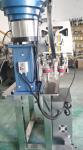 1PH Plastic Shampoo Bottle Linear Automatic Capping Machine Adjuatable 450KG