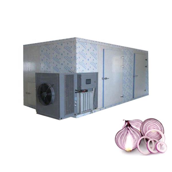 Industrial Washing Drying Onion Processing Equipment For Fruit Vegetable