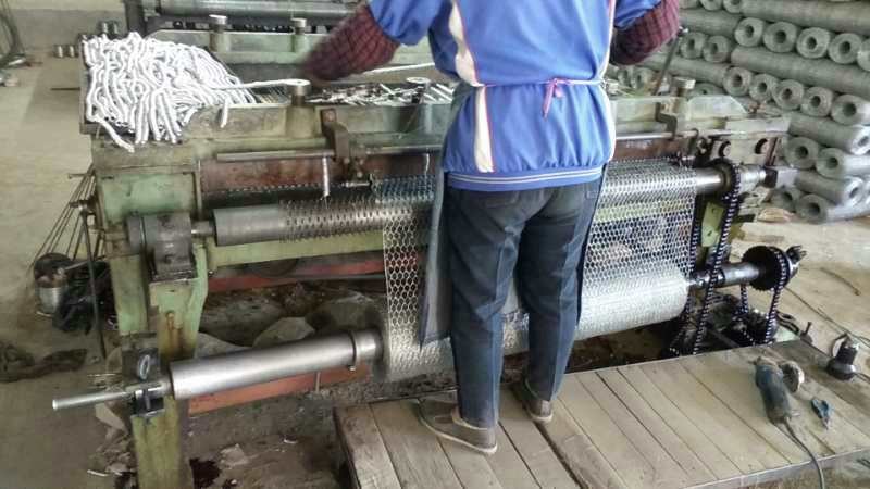 Reverse Twist / Normal Twist Hexagonal Wire Mesh For Chicken Cage Or Garden