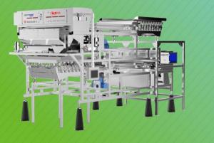 Buy cheap Belt Type Vegetable Sorting Machine Double Layer 2765kg 0.6 T/H 8.75kw product