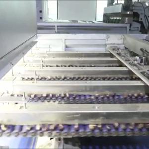 Buy cheap AI powered Durable 304 Stainless Steel Chestnut Sorting Solution with 8 lanes + 8 outlets: Delivering High Accuracy and Labor Savings for Consistent product