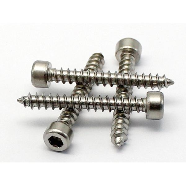 Metal Hex Socket Cheese Head Self Tapping Screws For Drilling Equipment