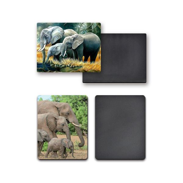 Quality Heidelberg Machine 3D Fridge Magnets Lenticular Offset Printing for sale