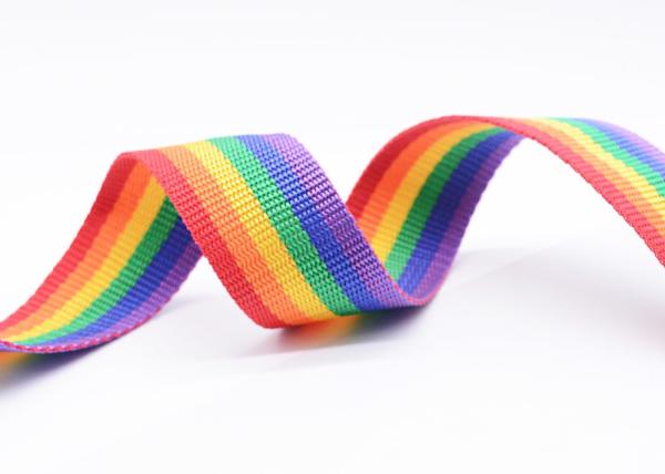 Quality T008 Rainbow Stripe Polyester Webbing Trim for sale