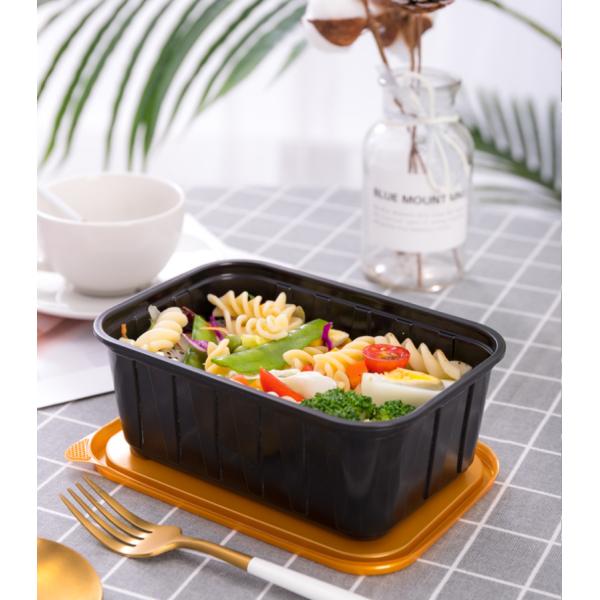 4 Compartment Disposable Transparent Plastic Food Containers