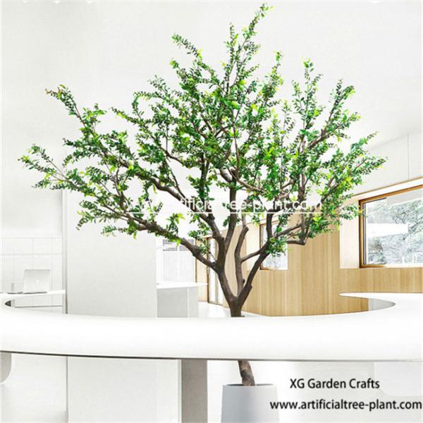 Quality Berry Plant Pepper Artificial Evergreen Trees / Zanthoxylum Bungeanum Tree Hotel Decoration for sale