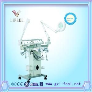 China 12 in 1 multifunctional facial machine beauty equipment (9006) on sale