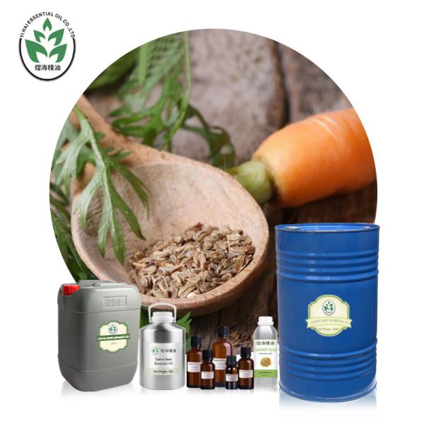 Quality 100% Pure Organic Essential Oils Carrot Seed Essential Oil Skin Lightening for sale