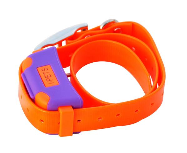 Quality Bluetooth 4.0 Remote Pet Training Collar Orange With i-Phone Controller for sale