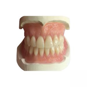 Buy cheap CAD-CAM Rubber 3D Printed Crowns Are Easy To Maintain And Fit product