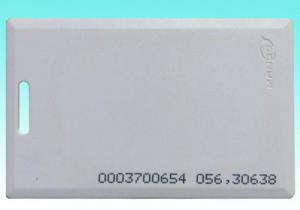 MANGO ID Thick Card