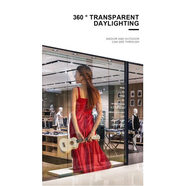 TV P2.5 P3.91 Transparent LED Display Screen LED Display Curtain Window Glass