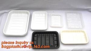 China corn starch dinnerware sets biodegradable cake tray, Corn Starch White Molded Fiber Pulp Rectangular Tray Paper Food Tra on sale