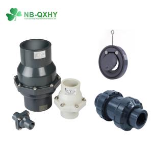 China PVC Spring Non Return Check Valve for DIN Standard Pipe System in Industrial Services on sale