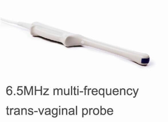 Quality Portable Color Doppler Machine Ultrasound Scanner For Human Or Animal Use for sale