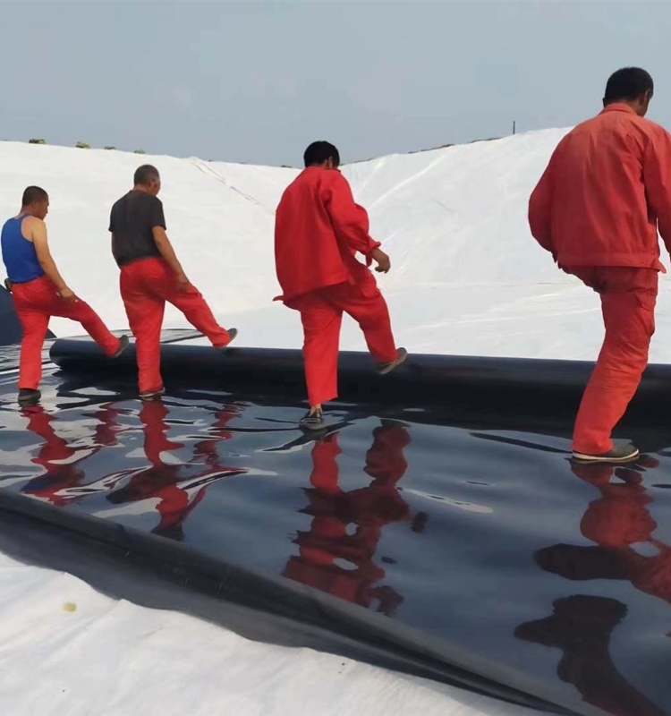 Modern Design 2mm HDPE Double Smooth Geomembrane for Biogas Digesters Double Smooth