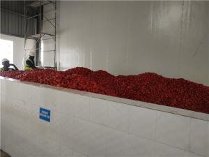 China SGS Tomato Processing Line 2000T/D Concentrating Ketchup Processing Line on sale