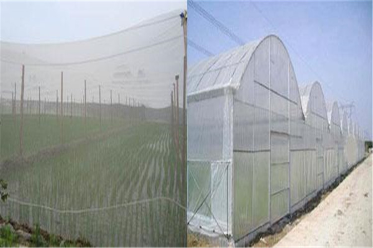 anti insect net in malaysia