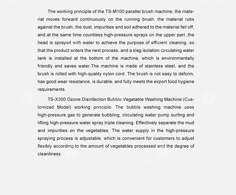 Multifunction Fruit And Vegetable Processing Line Parallel Brush Machine
