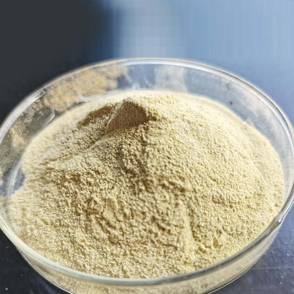 Quality 100000SKB Enzyme Used In Baking Industry Customized Enzyme Activity for sale