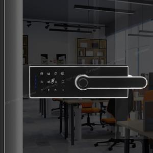 High Compartment Partition Door Fingerprint Lock Password Lock IC Card Key Glass Door Lock