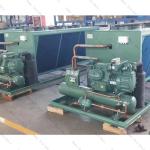 Inverter Compressor Condensing Unit With CAREL Microprocessor Controller