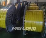 FEP TP316L Encapsulated Chemical Injection Line Hydraulic Control Line