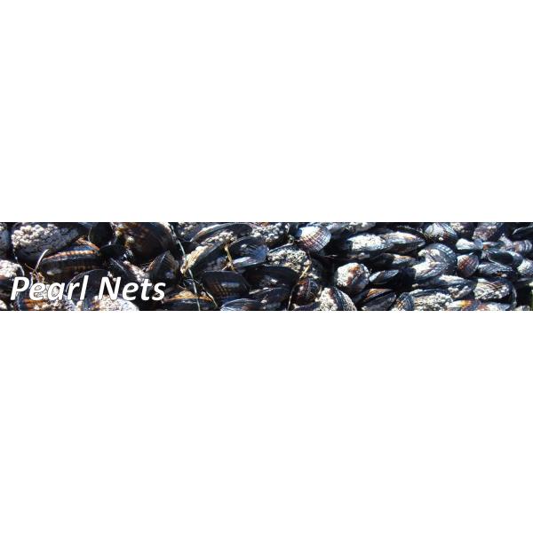 Blue Pearl Nets 100% Pure High Density Polyethylene OEM Service