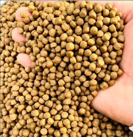 HRC 70 Polished Pellet Mill Flat Die For Industrial Use Feed Pellet Mill With Long Lifespan