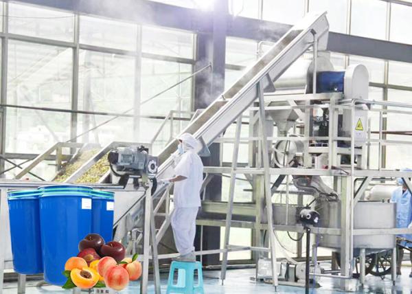 Quality Professional Peach Processing Plant Plum Concentration Processing Line for sale