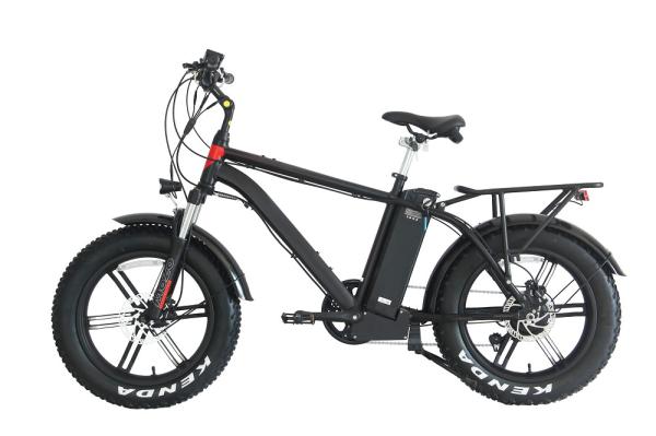 Quality 20" High Speed Ebike , Delivery Electric Bike 45kms Duration for sale