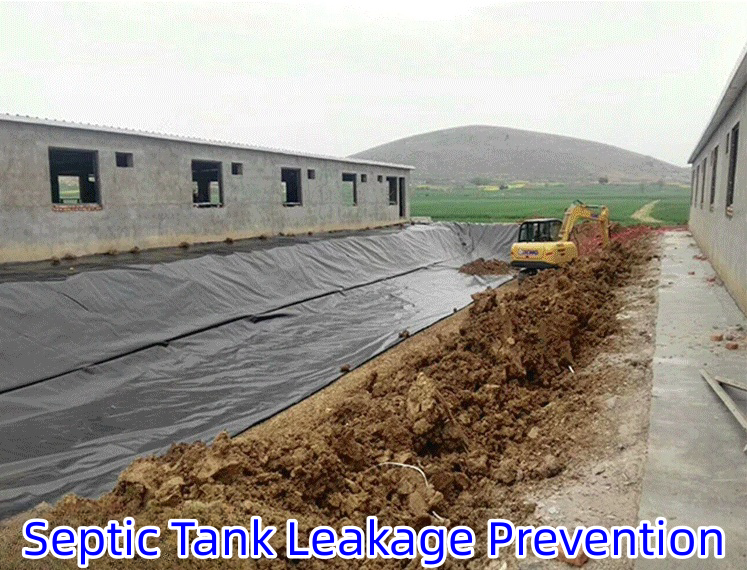 Modern Design 2mm HDPE Double Smooth Geomembrane for Biogas Digesters Double Smooth