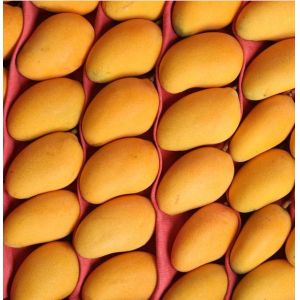 2t/H Raw Mango Juice Processing Machine 300 - 500ml Bottle