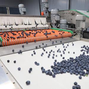 Buy cheap Efficient Stainless Steel Blueberry Sorting Machine 380V / 50Hz For Large Scale Sorting product