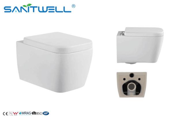 Quality Popular Tenne ceramic wall hung toilet and sanitary ware SWF425 for sale