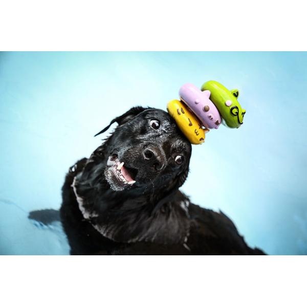 Chew Resistant Super Durable Dog Toys Squeaky Rubber Donut Dog Toy Clean Teething