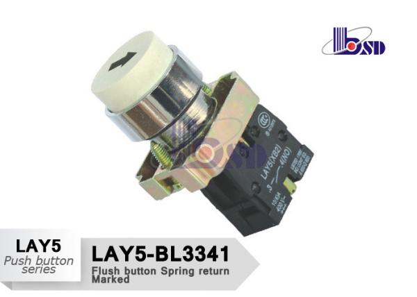 LAY5（XB2）-BL3341 white color spring return flat button push button swithes