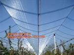 Green Construction Building Scaffolding Safety Net /Safety Mesh Netting