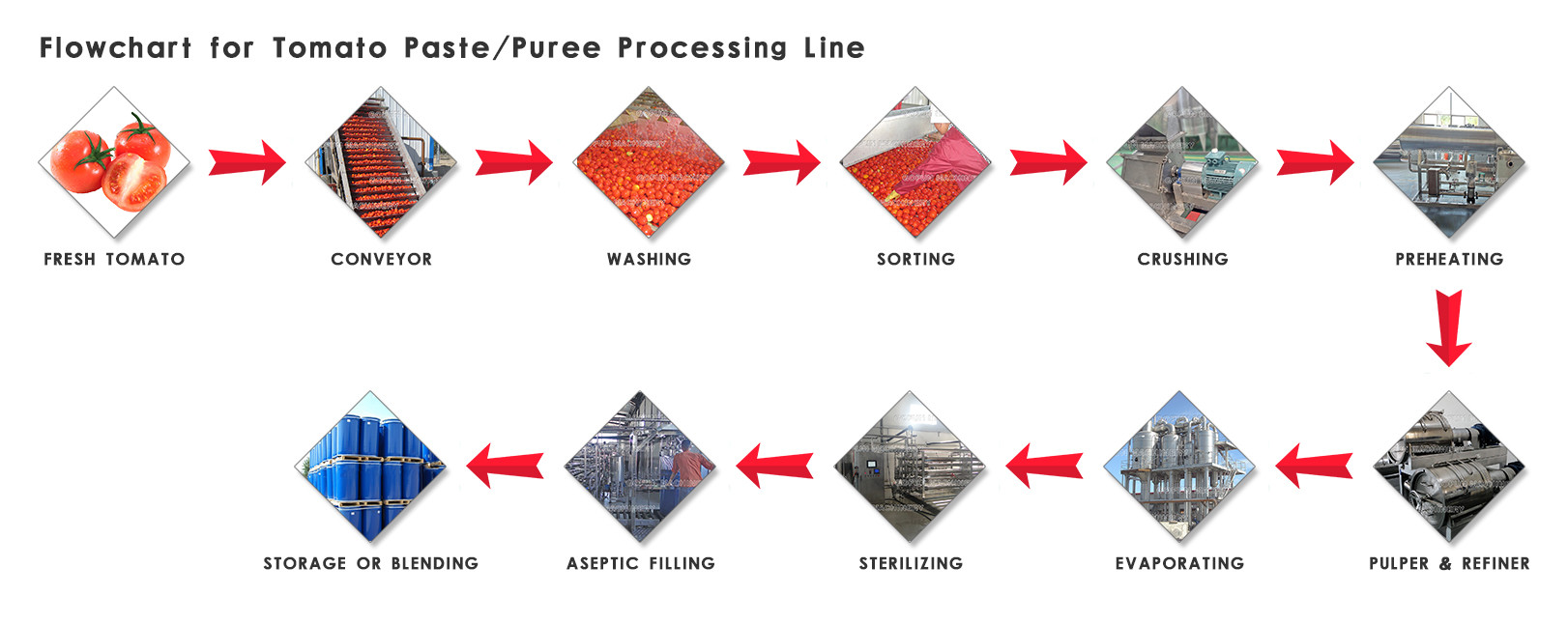 SS304 Complete Tomato Processing Line 1500T/D Easy Operation