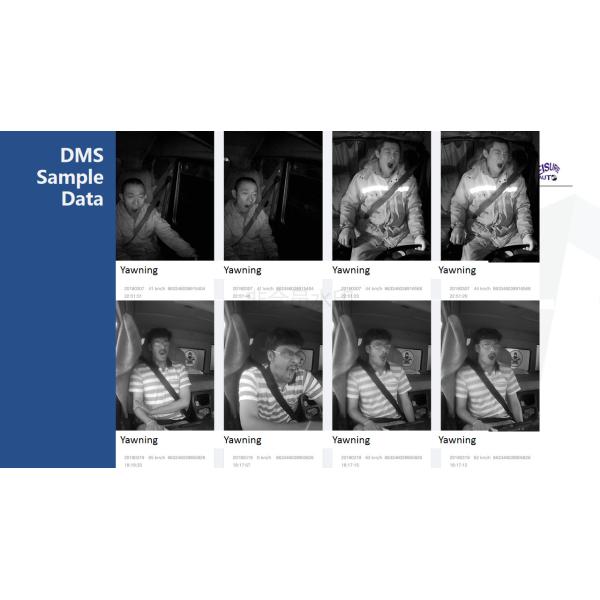 DSM Driver Fatigue System / ADAS Camera Systems MDVR 4G Transmission